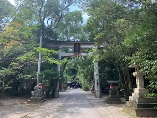 若宮八幡宮の鳥居