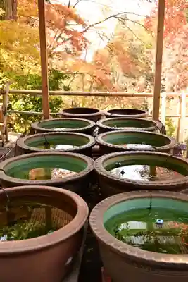 正法寺(滋賀県)