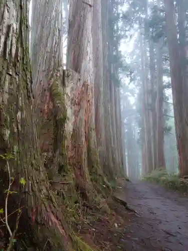 戸隠神社九頭龍社(長野県)