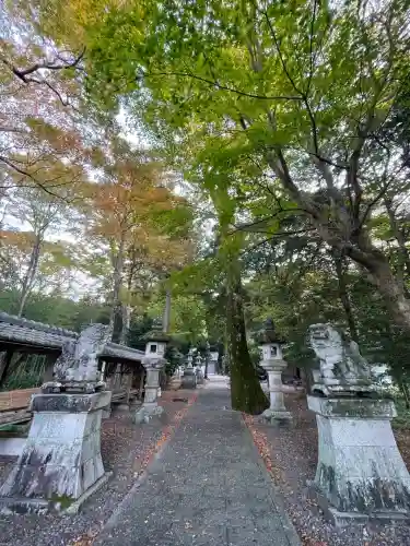 八幡神社(岐阜県)