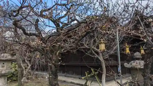 北野天満宮(京都府)
