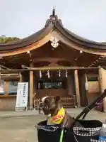 尾張大國霊神社(国府宮)の動物