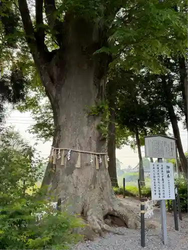 薬師寺八幡宮(栃木県)