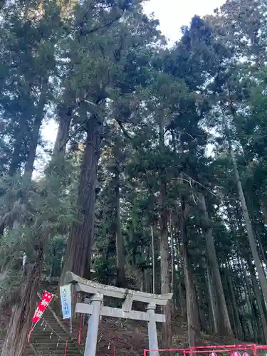 大宮温泉神社の鳥居