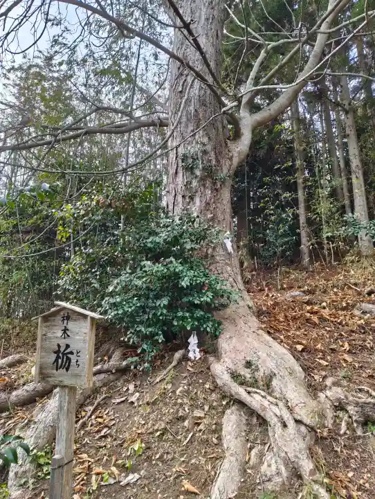 早馬神社の{uncategorized: "未分類", other: "その他", undefined: "問題あり", building: "その他建物", grave: "お墓", sacred_gate: "鳥居", guardian: "狛犬", statue: "像", buddha: "仏像", history: "歴史", nature: "自然", garden: "庭園", animal: "動物", pagoda: "塔", temizu: "手水舎", mountain_gate: "山門・神門", sanctuary: "本殿・本堂", subordinate: "末社・摂社", art: "芸術", scenery: "景色", jizo: "地蔵", ema: "絵馬", goshuin: "御朱印", omikuji: "おみくじ", items: "授与品その他", amulet: "お守り", goshuincho: "御朱印帳", eats: "食事", festival: "お祭り", votive_dance: "神楽", shichigosan: "七五三参", wedding: "結婚式", experience: "体験その他", initially: "初詣", around: "周辺", anti_infection: "感染症対策"}
