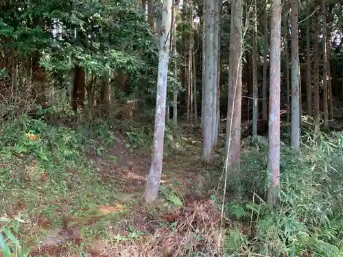 月夜見神社の自然