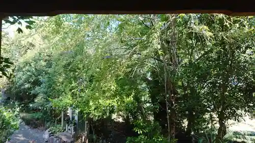 長谷寺(静岡県)