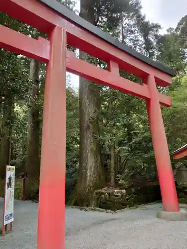 箱根神社の鳥居