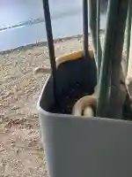 岩国白蛇神社の{uncategorized: "未分類", other: "その他", undefined: "問題あり", building: "その他建物", grave: "お墓", sacred_gate: "鳥居", guardian: "狛犬", statue: "像", buddha: "仏像", history: "歴史", nature: "自然", garden: "庭園", animal: "動物", pagoda: "塔", temizu: "手水舎", mountain_gate: "山門・神門", sanctuary: "本殿・本堂", subordinate: "末社・摂社", art: "芸術", scenery: "景色", jizo: "地蔵", ema: "絵馬", goshuin: "御朱印", omikuji: "おみくじ", items: "授与品その他", amulet: "お守り", goshuincho: "御朱印帳", eats: "食事", festival: "お祭り", votive_dance: "神楽", shichigosan: "七五三参", wedding: "結婚式", experience: "体験その他", initially: "初詣", around: "周辺", anti_infection: "感染症対策"}