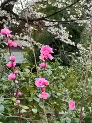 簳幹八幡宮(東京都)