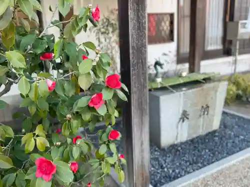泉州磐船神社の{uncategorized: "未分類", other: "その他", undefined: "問題あり", building: "その他建物", grave: "お墓", sacred_gate: "鳥居", guardian: "狛犬", statue: "像", buddha: "仏像", history: "歴史", nature: "自然", garden: "庭園", animal: "動物", pagoda: "塔", temizu: "手水舎", mountain_gate: "山門・神門", sanctuary: "本殿・本堂", subordinate: "末社・摂社", art: "芸術", scenery: "景色", jizo: "地蔵", ema: "絵馬", goshuin: "御朱印", omikuji: "おみくじ", items: "授与品その他", amulet: "お守り", goshuincho: "御朱印帳", eats: "食事", festival: "お祭り", votive_dance: "神楽", shichigosan: "七五三参", wedding: "結婚式", experience: "体験その他", initially: "初詣", around: "周辺", anti_infection: "感染症対策"}