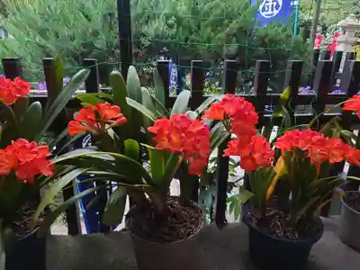 大綱金刀比羅神社(神奈川県)