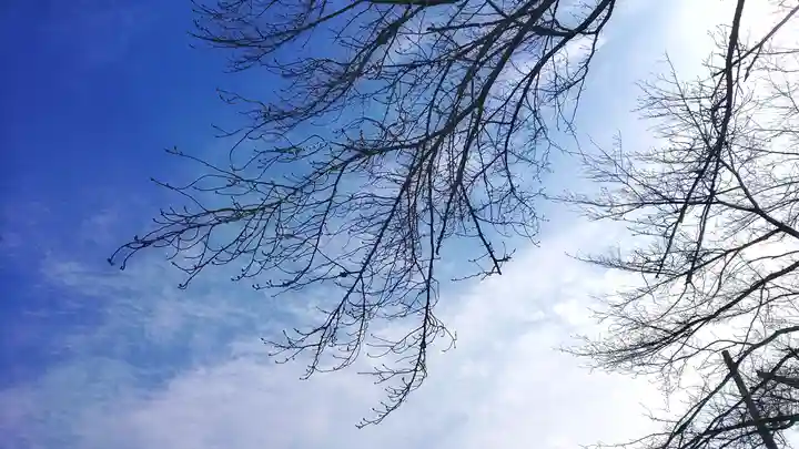 神明社(国府宮神明社)の景色