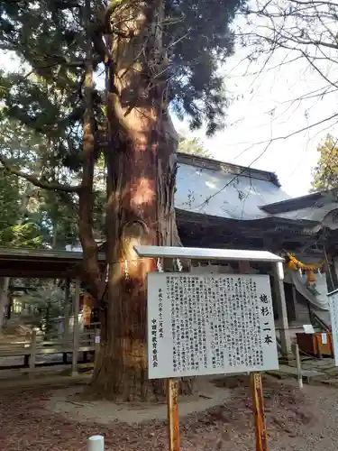 上沼八幡神社の自然