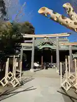 牛嶋神社の鳥居