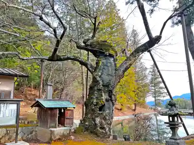穂見諏訪十五所神社の自然