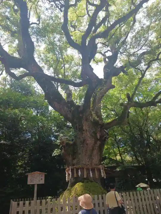 熱田神宮(愛知県)