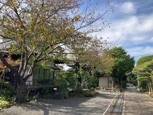 蓮光寺のその他建物