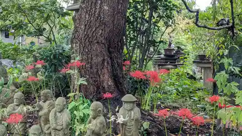 常泉寺(神奈川県)