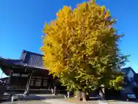 円通寺(三重県)