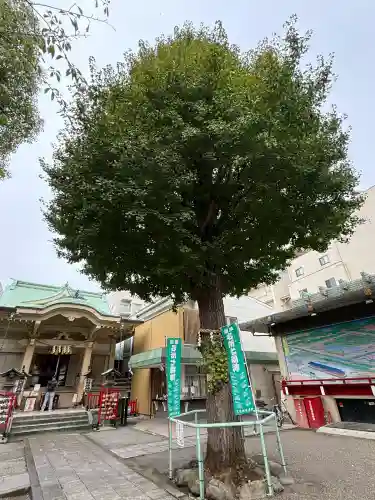 矢先稲荷神社(東京都)