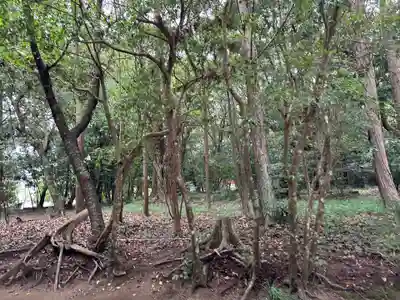 江田神社(宮崎県)
