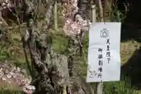 国宝 大法寺のその他建物