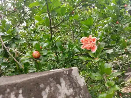 賀茂別雷神社(栃木県)