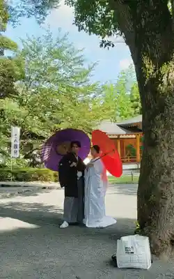 阿佐ヶ谷神明宮(東京都)