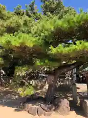 岩屋神社(兵庫県)