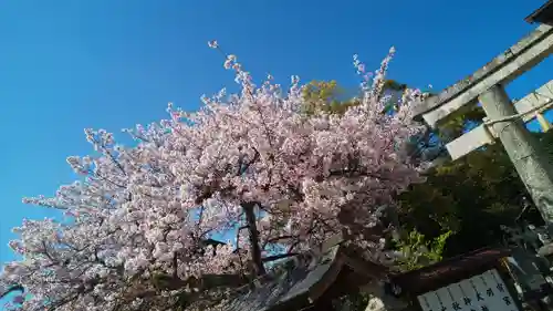 伊豆神社の自然