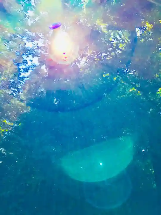 成田熊野神社(千葉県)