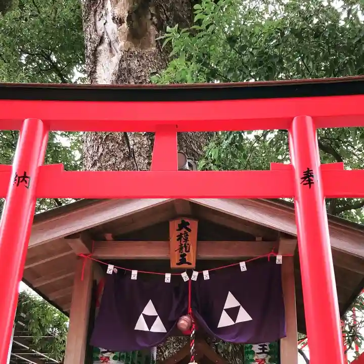 金剛宝寺(紀三井寺)(和歌山県)