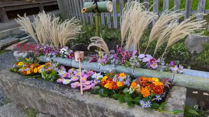 二尊院(京都府)