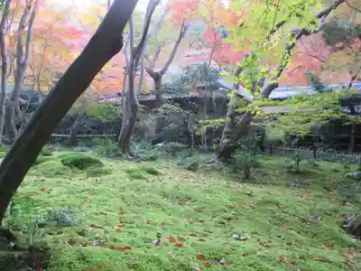 祇王寺(京都府)