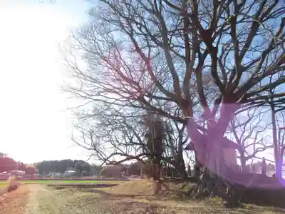 神明神社(千葉県)