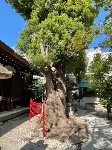 三輪神社のその他建物