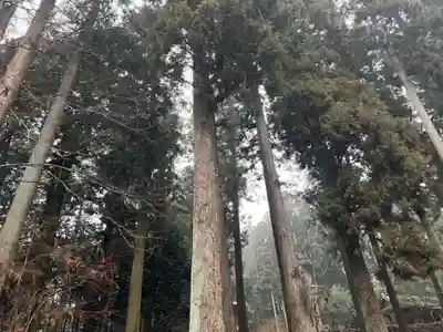 大宮温泉神社(栃木県)