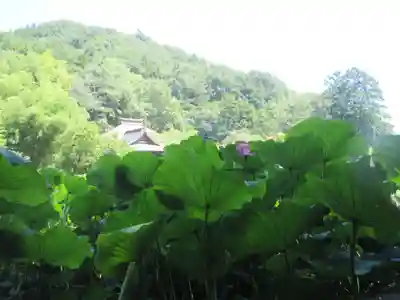 久昌寺(埼玉県)