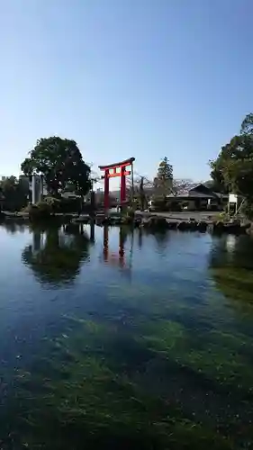 富士山本宮浅間大社の庭園