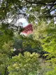 成田山新勝寺(千葉県)