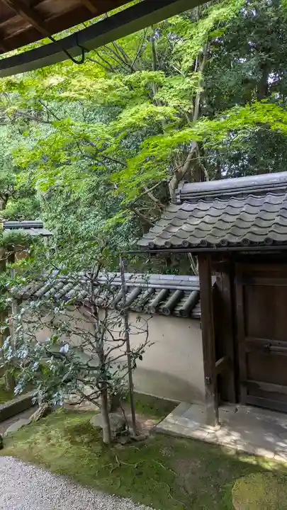 真珠庵(真珠菴)(京都府)