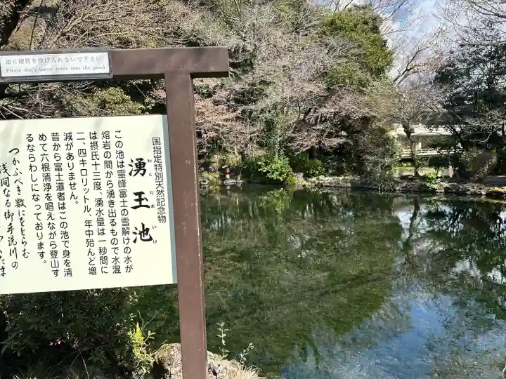 富士山本宮浅間大社(静岡県)