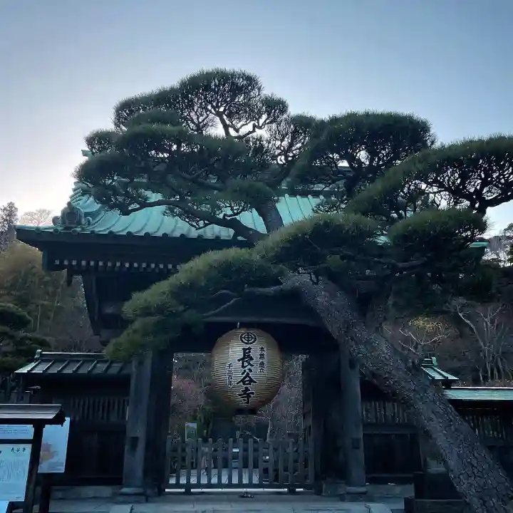 長谷寺(神奈川県)