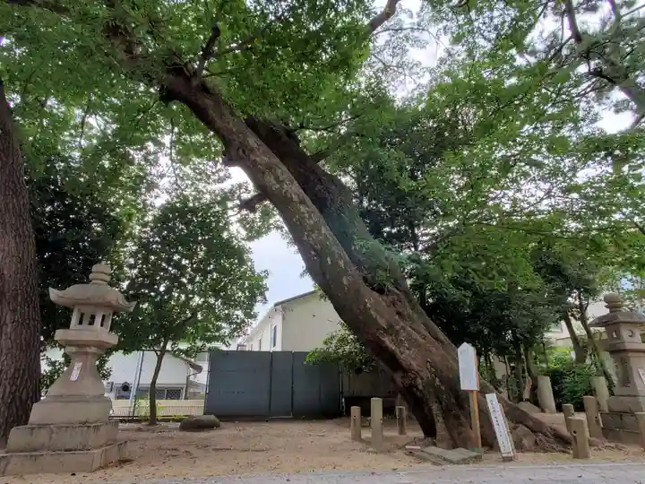 弓弦羽神社の自然