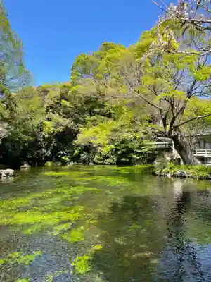 富士山本宮浅間大社(静岡県)
