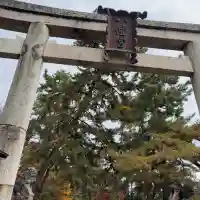 長浜八幡宮(滋賀県)