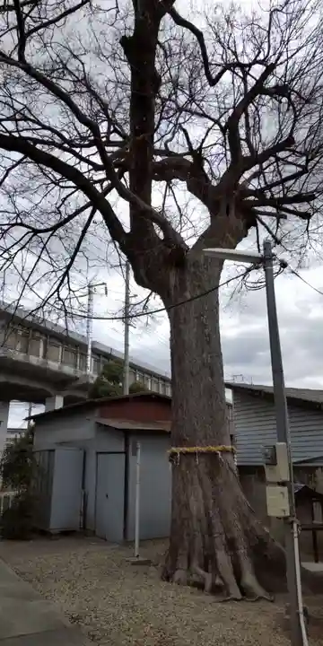 下食満稲荷神社(兵庫県)