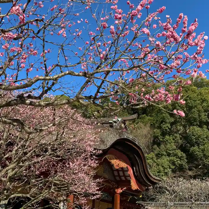 太宰府天満宮の自然
