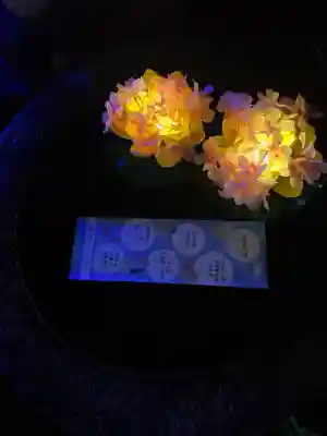 子安神社(東京都)